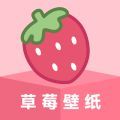 草莓壁纸手机版 草莓壁纸手机版