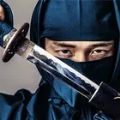 忍者信条刺客战士游戏 忍者信条刺客战士游戏
