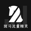 斑马流量精灵 斑马流量精灵