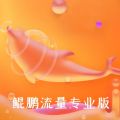 鲲鹏流量专业版 鲲鹏流量专业版