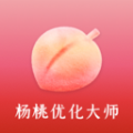 杨桃优化大师 杨桃优化大师
