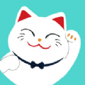 招才有猫 招才有猫