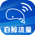 白鲸流量 白鲸流量
