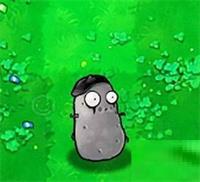 植物大战僵尸随机版