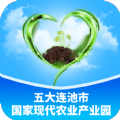 连池豆种 连池豆种