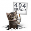 404影视 404影视