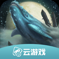 妄想山海云游戏版 妄想山海云游戏版