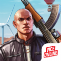 Vice Vice