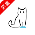 猫影视电视盒子 猫影视电视盒子