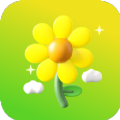 雏菊相机 雏菊相机