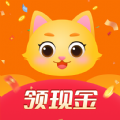 小茶喵 小茶喵