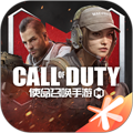 COD手游国际服 COD手游国际服