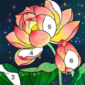 数字涂色绘本 数字涂色绘本