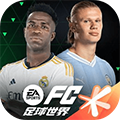 fifa足球世界世界杯版本 fifa足球世界世界杯版本
