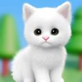 猫咪的选择游戏 猫咪的选择游戏