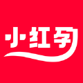 小红孕 小红孕