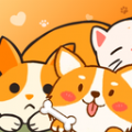 猫狗语音翻译机 猫狗语音翻译机