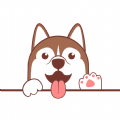 Puppy Puppy