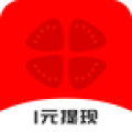 番茄看看 番茄看看