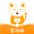 慧探猫 慧探猫