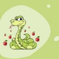 SnakeAsian SnakeAsian