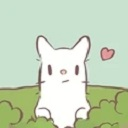 猫汤 猫汤