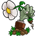 植物大战僵尸随机模仿者无限阳光版 植物大战僵尸随机模仿者无限阳光版