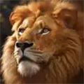 Beast Lord Beast Lord