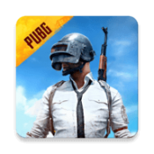 pubg国体直装 pubg国体直装