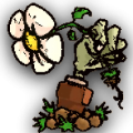 植物大战僵尸sIs版 植物大战僵尸sIs版
