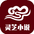 灵芝小说 灵芝小说
