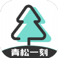青松一刻 青松一刻
