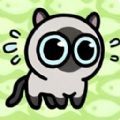 丛林冒险猫游戏 丛林冒险猫游戏