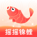 摇摇锦鲤 摇摇锦鲤