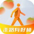 走路有好柿 走路有好柿