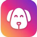 狗狗护理指南 狗狗护理指南