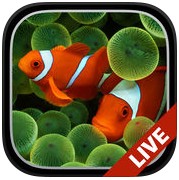 水族馆动态壁纸2018手机版 水族馆动态壁纸2018手机版