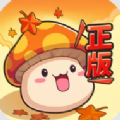 冒险岛联盟的意志台服 冒险岛联盟的意志台服