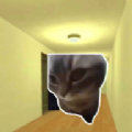 追逐猫猫的迷宫游戏 追逐猫猫的迷宫游戏