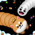 Worms Worms