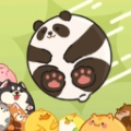 合合星球红包版 合合星球红包版
