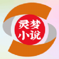 灵梦小说 灵梦小说