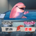 恐怖怪谈解谜游戏 恐怖怪谈解谜游戏