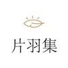 片羽集app安卓版 片羽集app安卓版