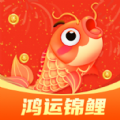 鸿运锦鲤 鸿运锦鲤