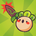 Turnip Turnip