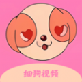细狗视频剪辑 细狗视频剪辑