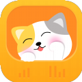 灵动猫 灵动猫