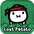 Lost Lost
