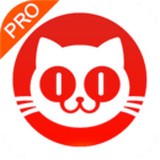 猫眼票房分析 猫眼票房分析
